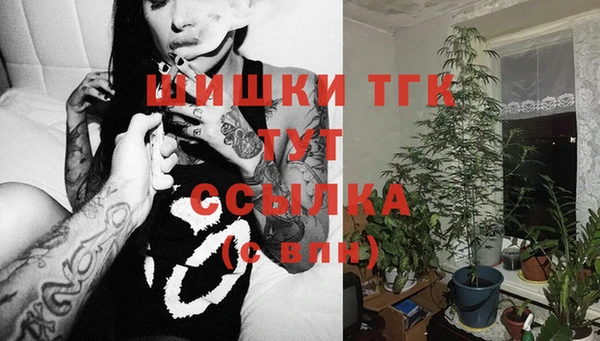 твердый Абаза