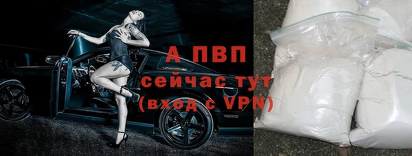 твердый Абаза