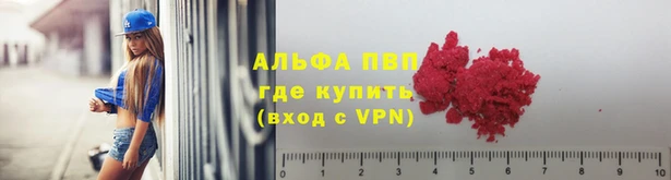 твердый Абаза