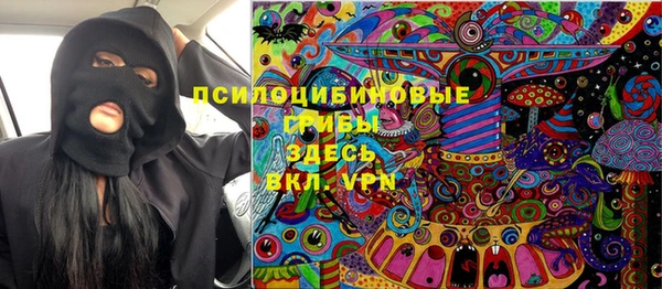 твердый Абаза